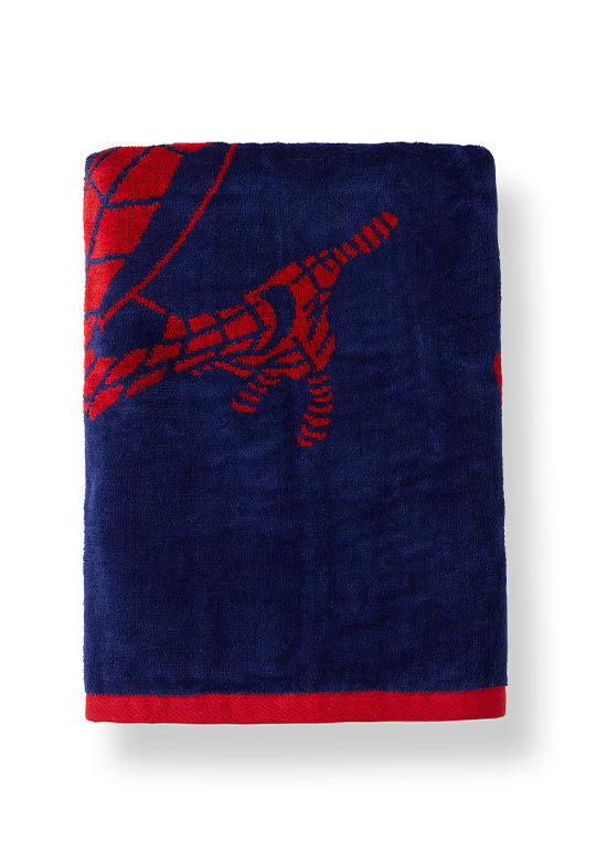 מגבת ילדים ג'קארד, ספיידי